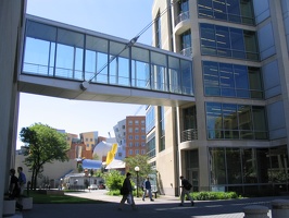 a view of the Stata Center