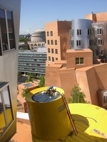 Stata Center - View of the Great Dome
