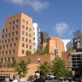 Stata Center