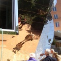 Stata Center